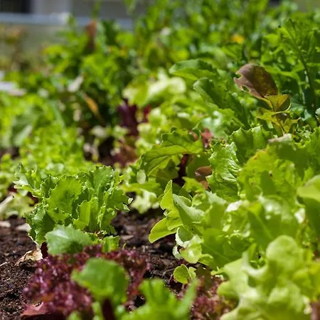 Exclusive Tassenbacherhof