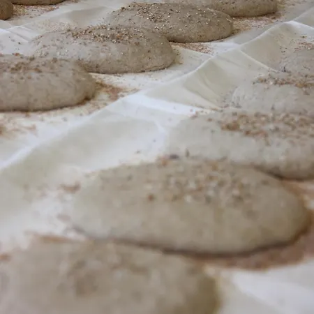 Exclusive Tassenbacherhof Apartment Strassen