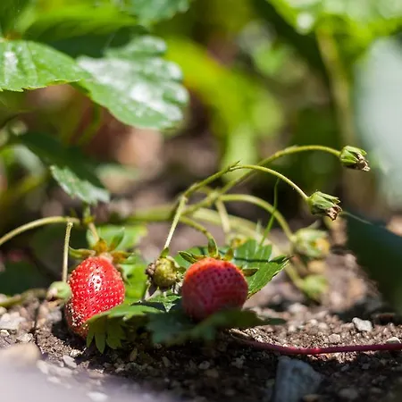 Exclusive Tassenbacherhof Apartamento